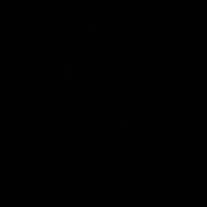 Meet your Posher, Yasmin